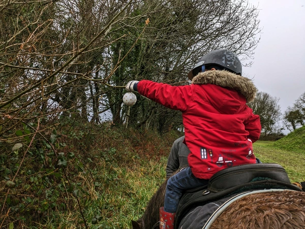 Un jeux à poney: l'enfant doit attraper une boule accrochée à un arbre.