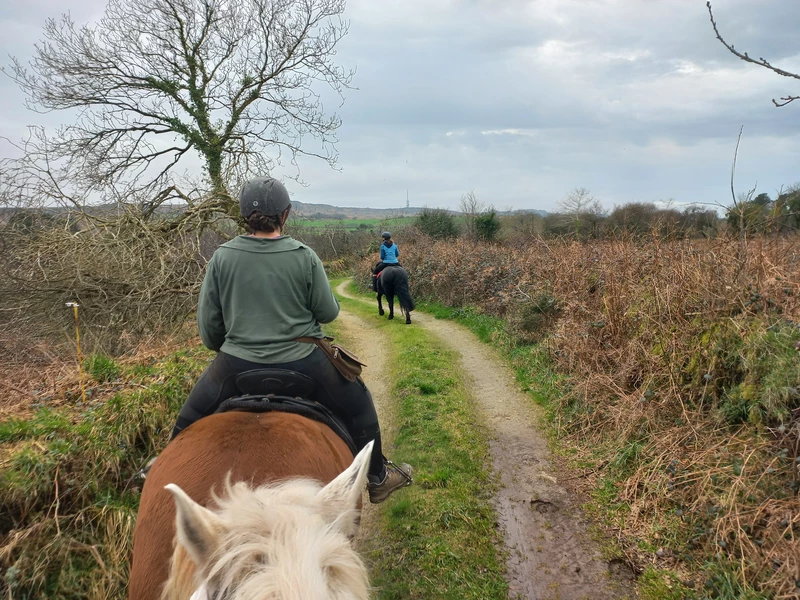 Balade à cheval devant Roc'h Tredudon