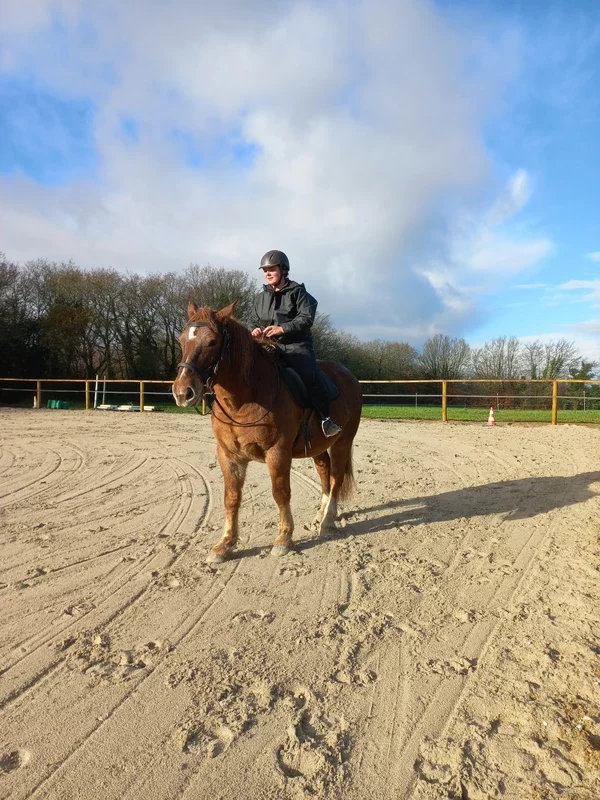 Un adulte à cheval dans la carrière.