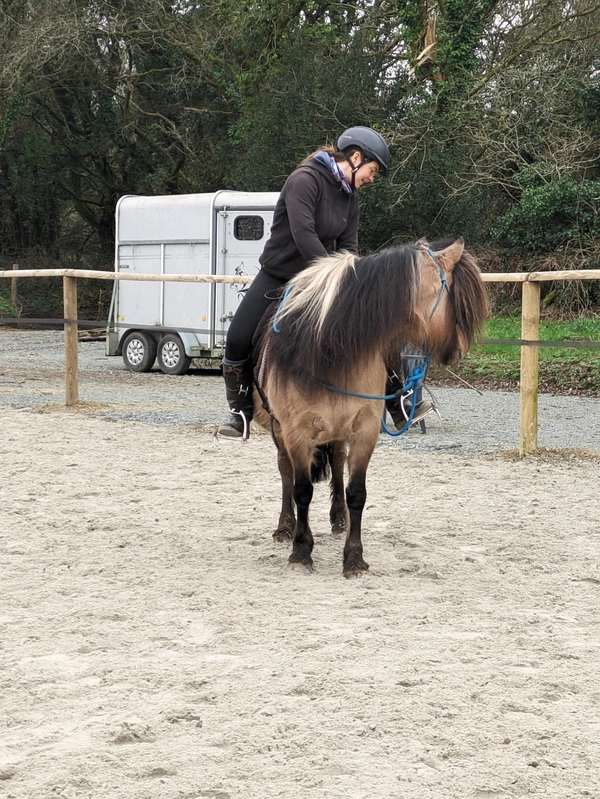 Un adulte à cheval sur un double poney fait une flexion d'encolure.