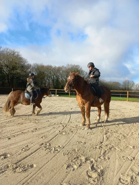 Deux adultes à cheval évoluent dans la carrière équestre.