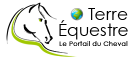 logo terre équestre