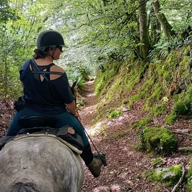 Cavalière vue de dos sur un cheval dans un chemin creux en Bretagne.