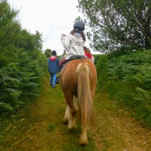 enfant sur un poney de dos dans un chemin